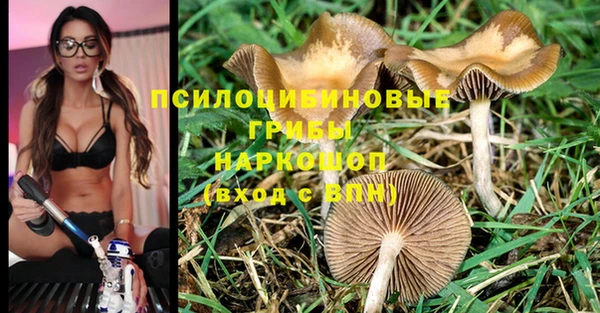 кокаин премиум Вяземский